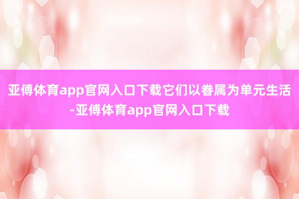 亚傅体育app官网入口下载它们以眷属为单元生活-亚傅体育app官网入口下载