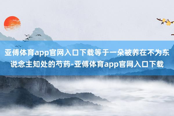 亚傅体育app官网入口下载等于一朵被养在不为东说念主知处的芍药-亚傅体育app官网入口下载