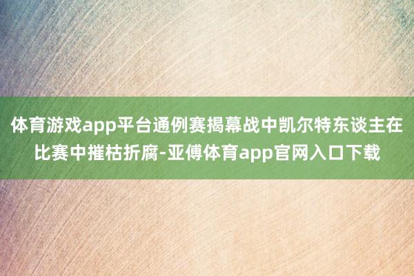 体育游戏app平台通例赛揭幕战中凯尔特东谈主在比赛中摧枯折腐-亚傅体育app官网入口下载