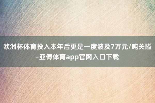 欧洲杯体育投入本年后更是一度波及7万元/吨关隘-亚傅体育app官网入口下载