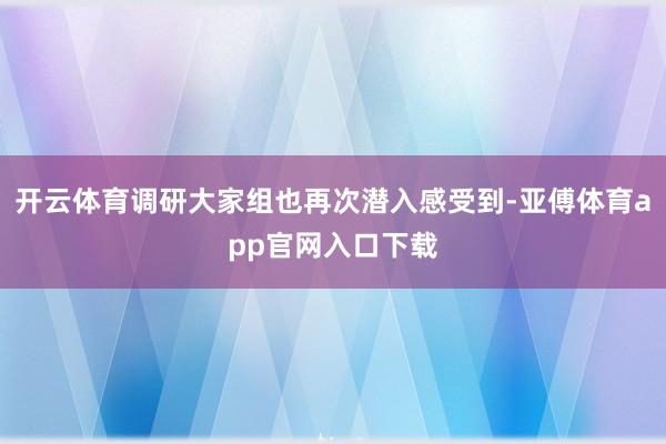 开云体育调研大家组也再次潜入感受到-亚傅体育app官网入口下载