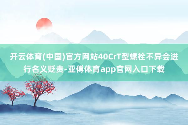 开云体育(中国)官方网站40CrT型螺栓不异会进行名义贬责-亚傅体育app官网入口下载