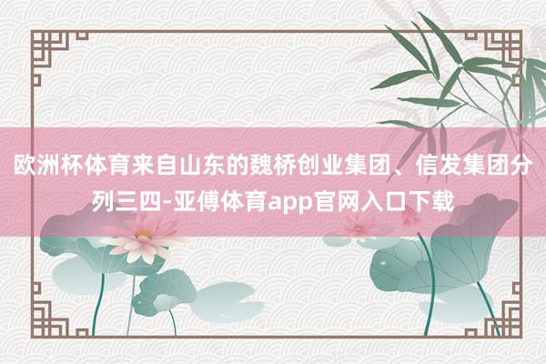 欧洲杯体育来自山东的魏桥创业集团、信发集团分列三四-亚傅体育app官网入口下载